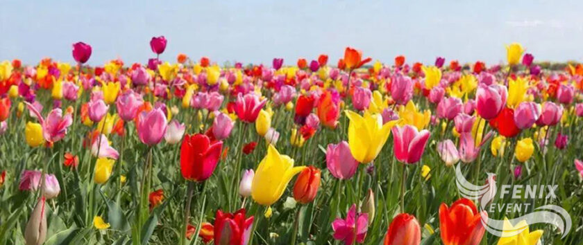 Оригинальные подарки на 8 марта Москва