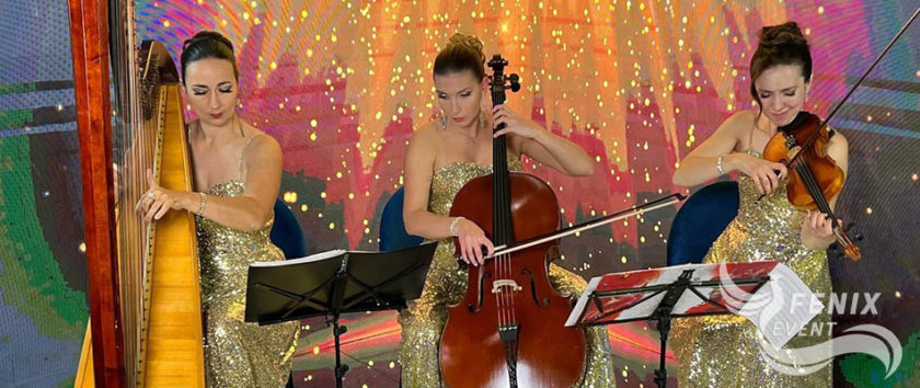 Заказать струнный коллектив на встречу гостей в Москве. Музыканты на встречу гостей в Москве.