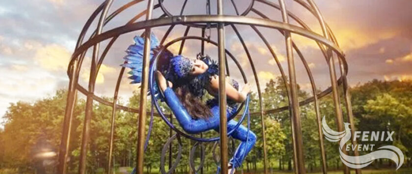 Заказать акробатов на праздник в Москве. Заказать акробатическое шоу в Москве. Акробаты на свадьбу в Москве.